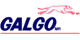 Galgo